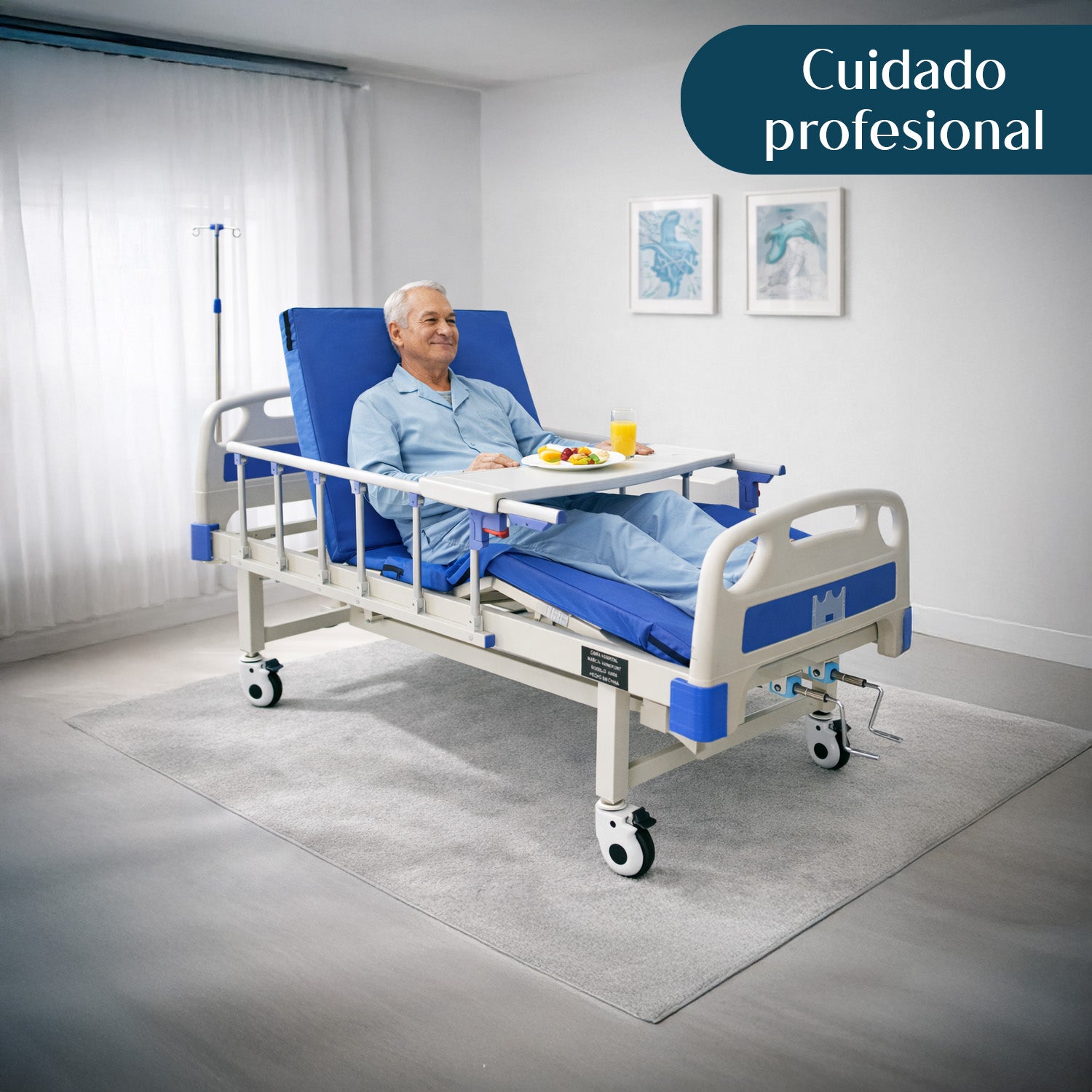 Cama Hospitalaria Manual Incluye Colchón Y Porta Suero Nanofort